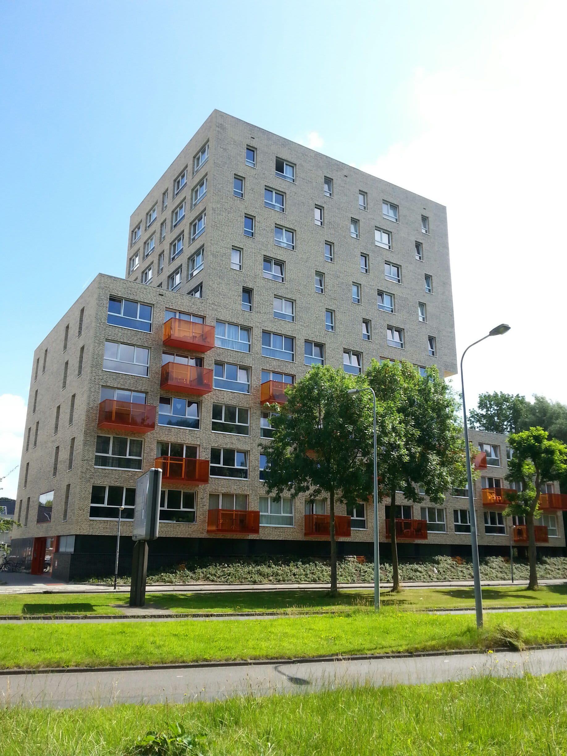 Kleine Beer 84