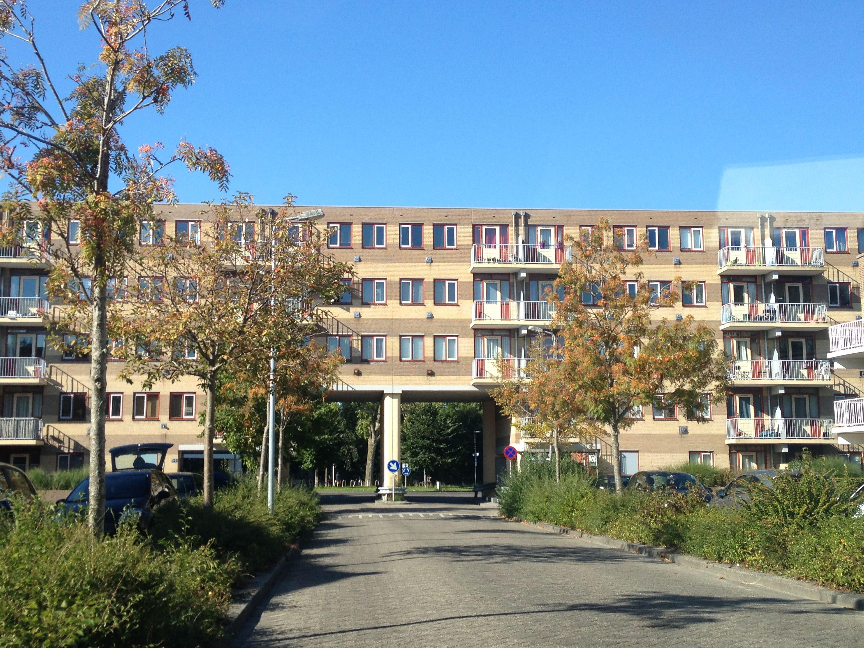 Wibenaheerd 74