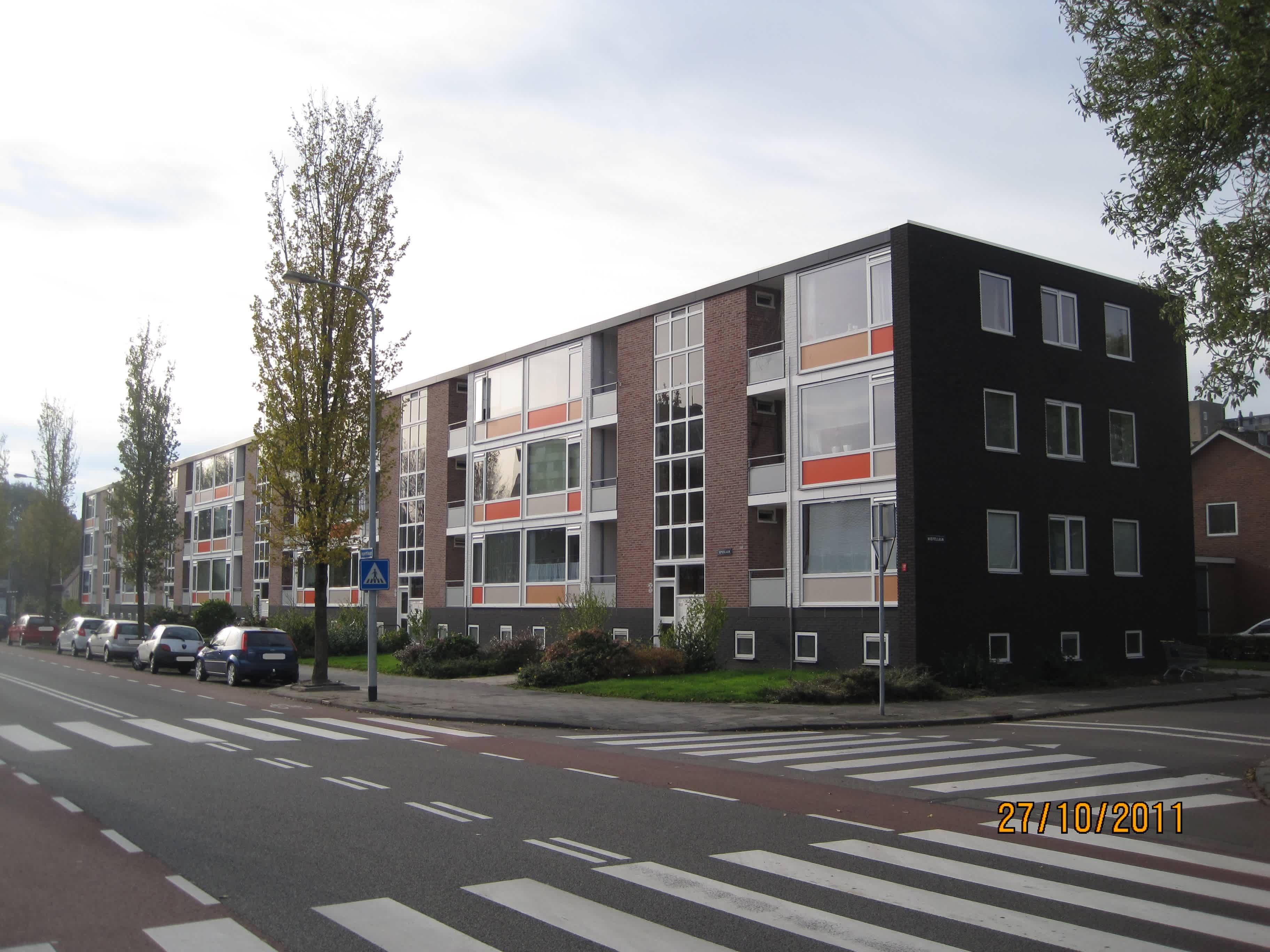 Iepenlaan 62