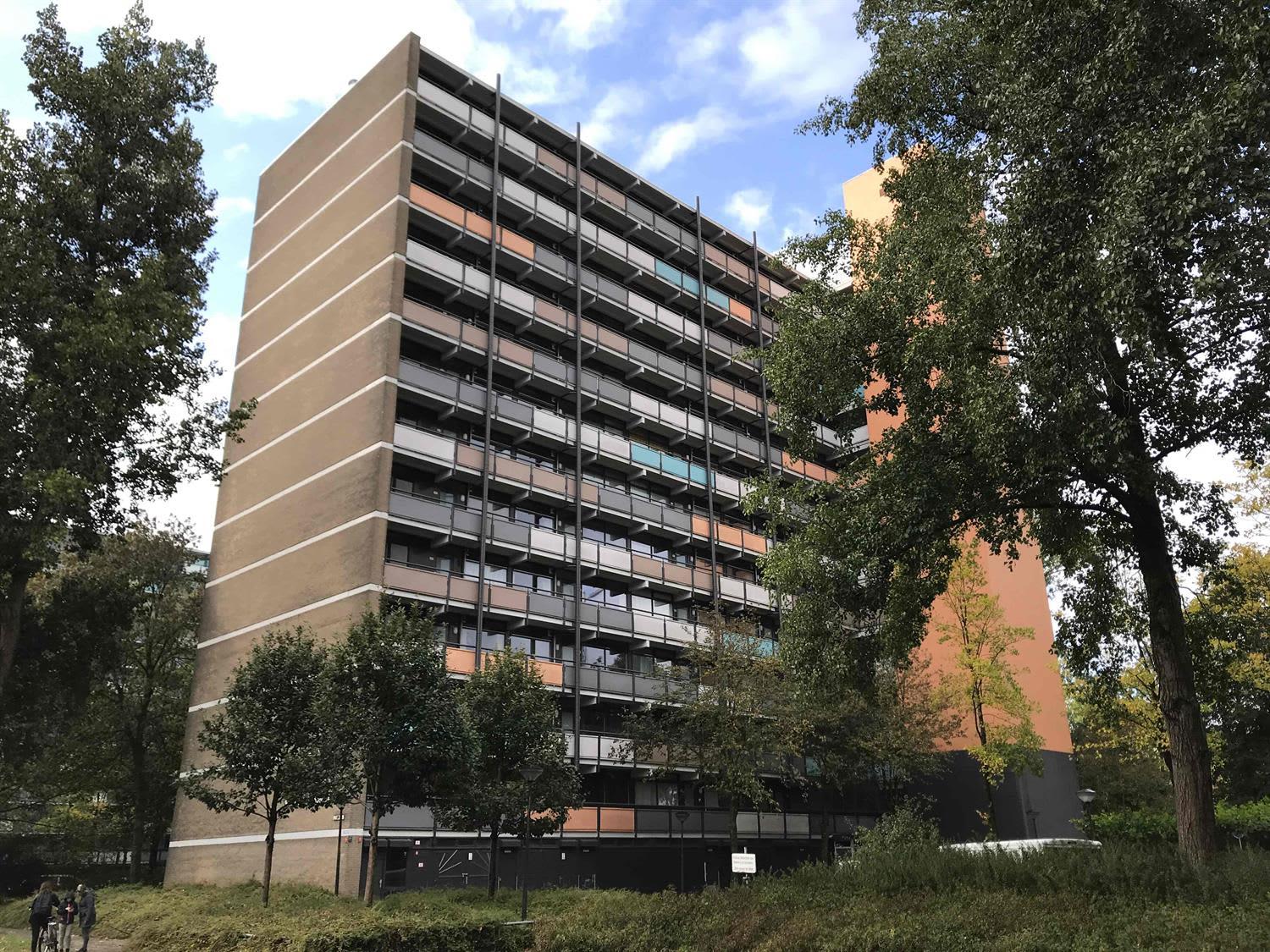 Aquamarijnstraat 223